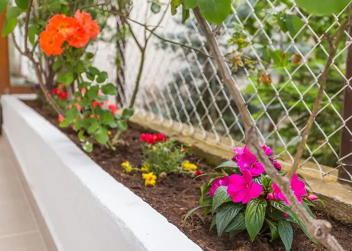 Comfortable Modern With Shaded Patio *
