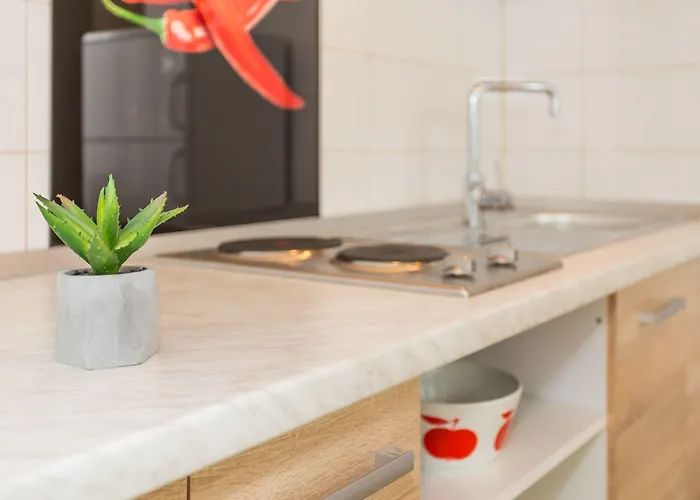 Comfortable Modern With Shaded Patio 스플리트