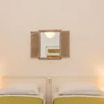 Comfortable Modern With Shaded Patio 公寓 *
